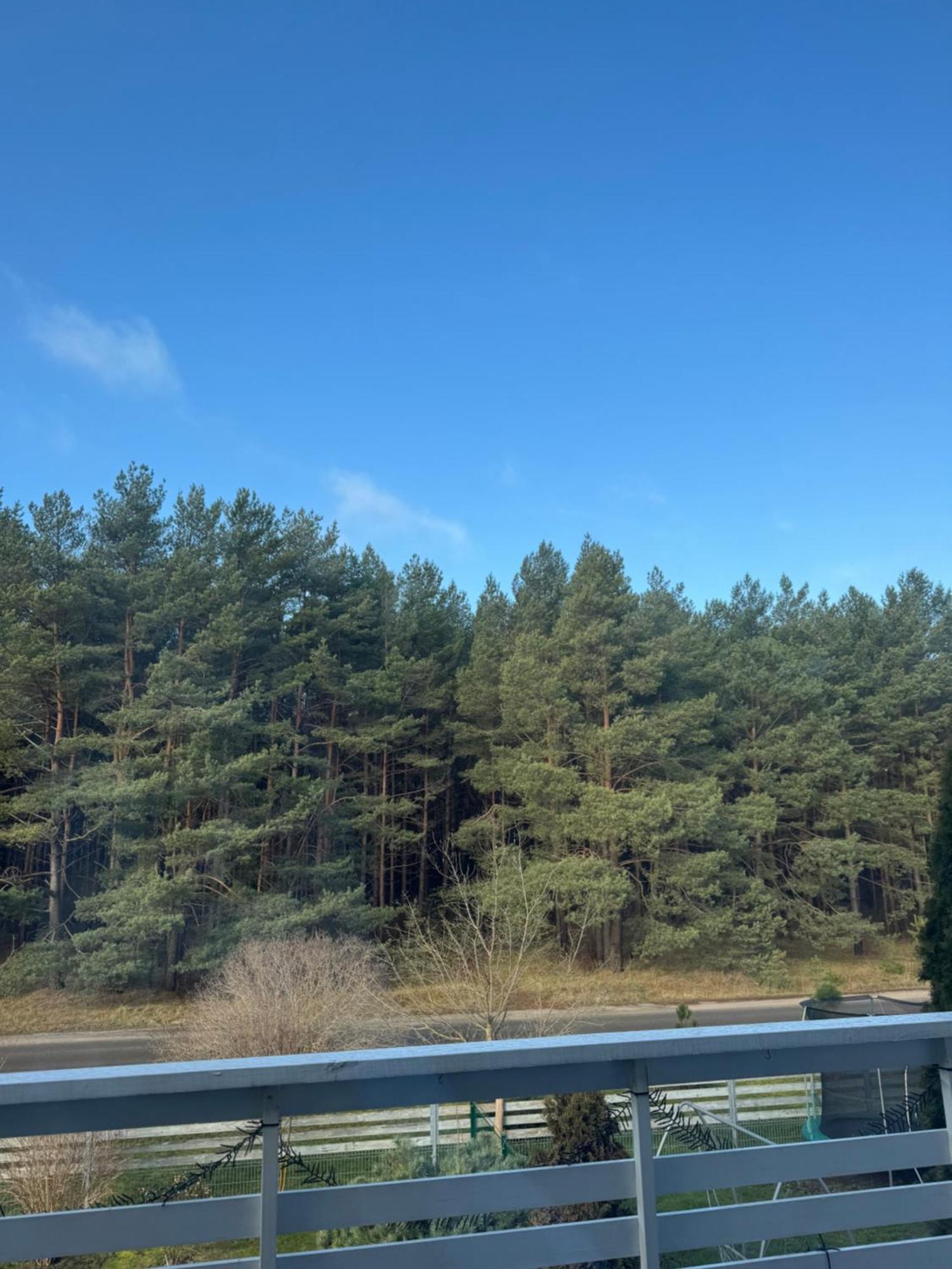 Salia Juros Apartman Palanga Kültér fotó